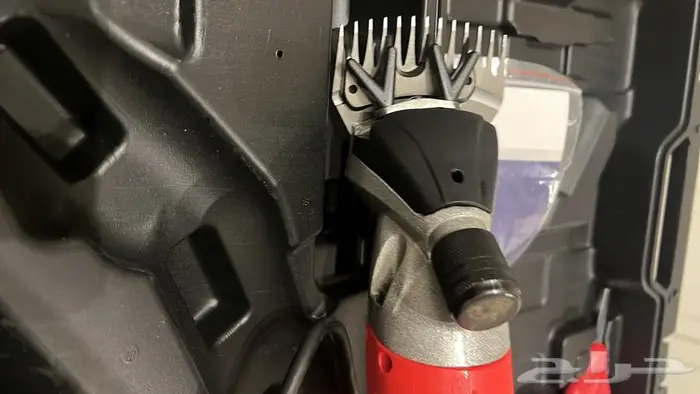 حلاقة مواشي حلاقة ابل حلاقة غنم 16