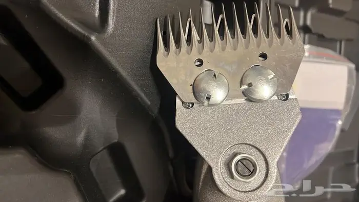 حلاقة مواشي حلاقة ابل حلاقة غنم 17