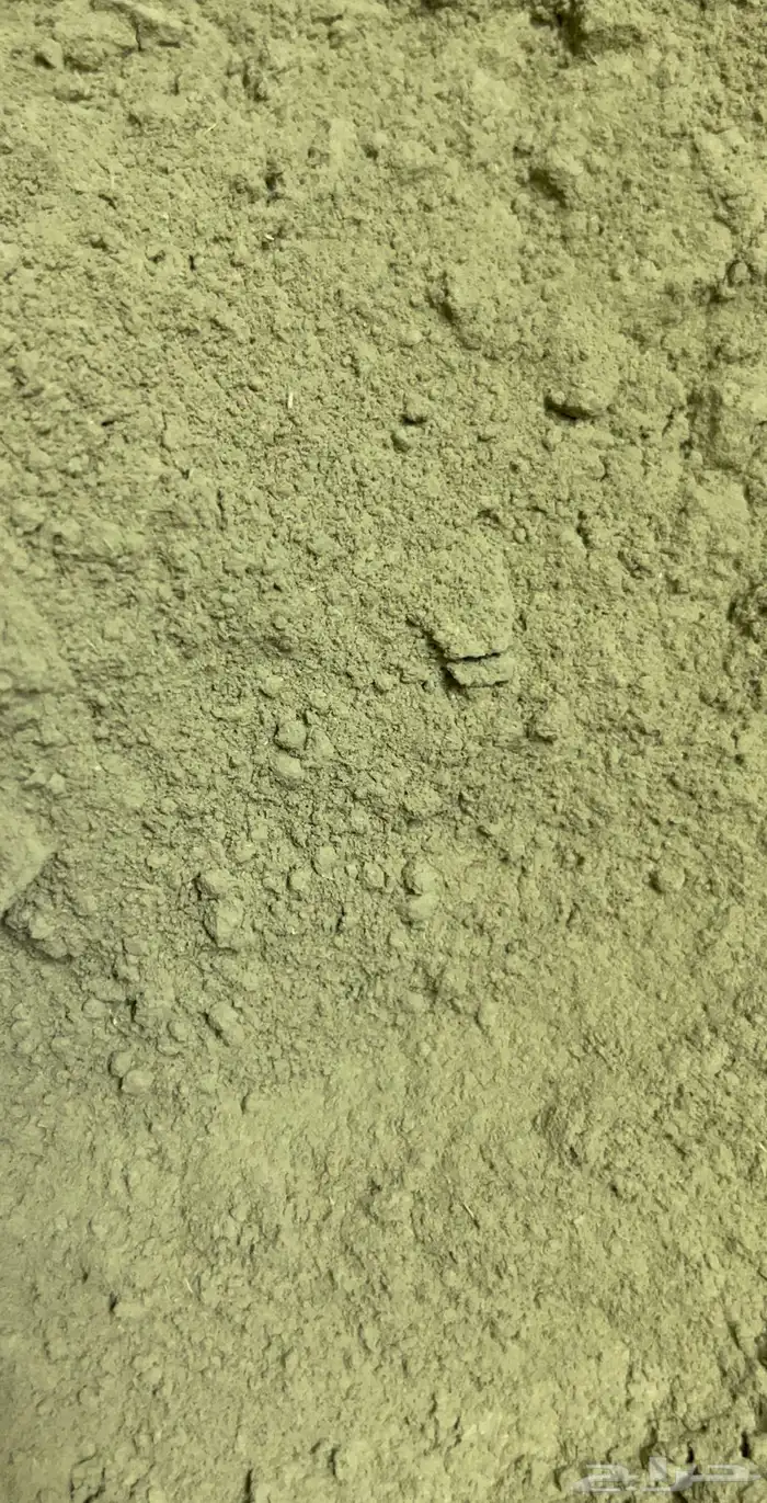 سدر المدينه البلدي 2