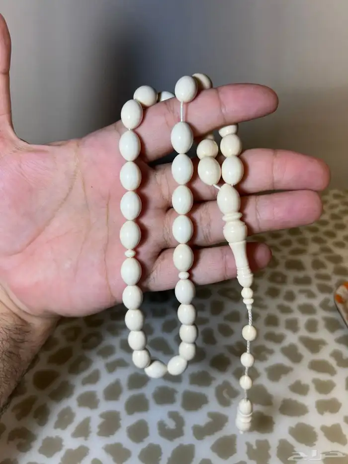 سبحه ع.ا.ج ن.ا.ب ال.ف.ي.ل 0