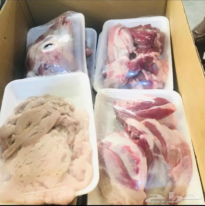 ذبايح للبيع مع الذبح والتوصيل 10