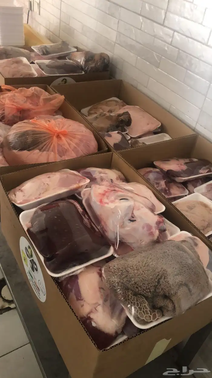 ذبح وتوصيل 5