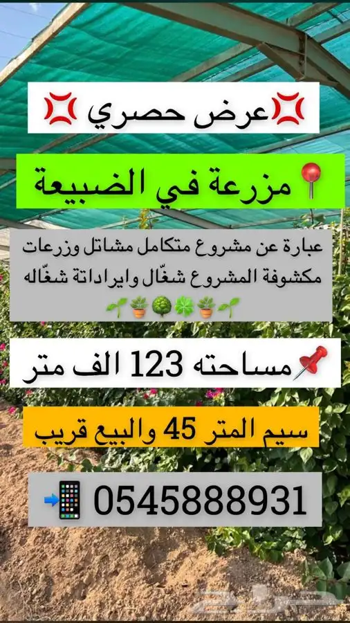 الرياض الخرج الهياثم الرحمانيه العفجه الريحان الشديده 0