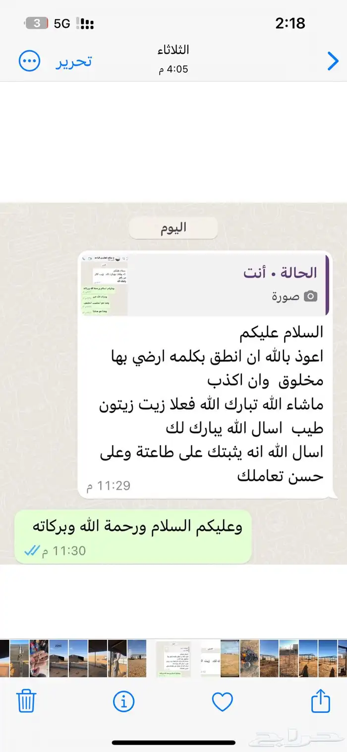 زيت زيتون الجوف 6