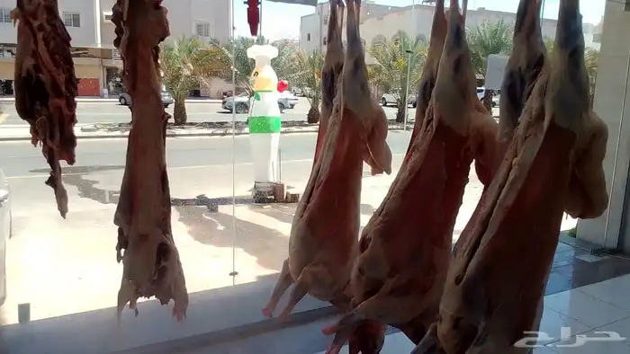ذبائح مع خدمة الذبح و التوصيل والتغليف 46