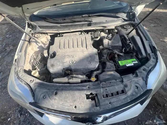 افالون 2014 12