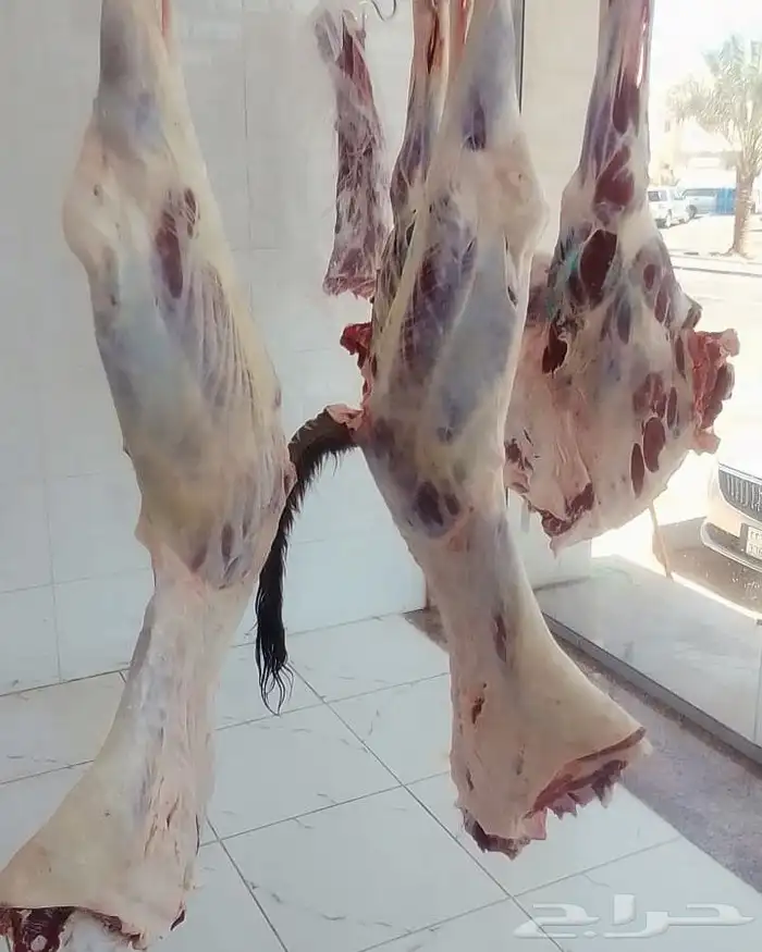 ذبائح مع خدمة الذبح و التوصيل والتغليف 33