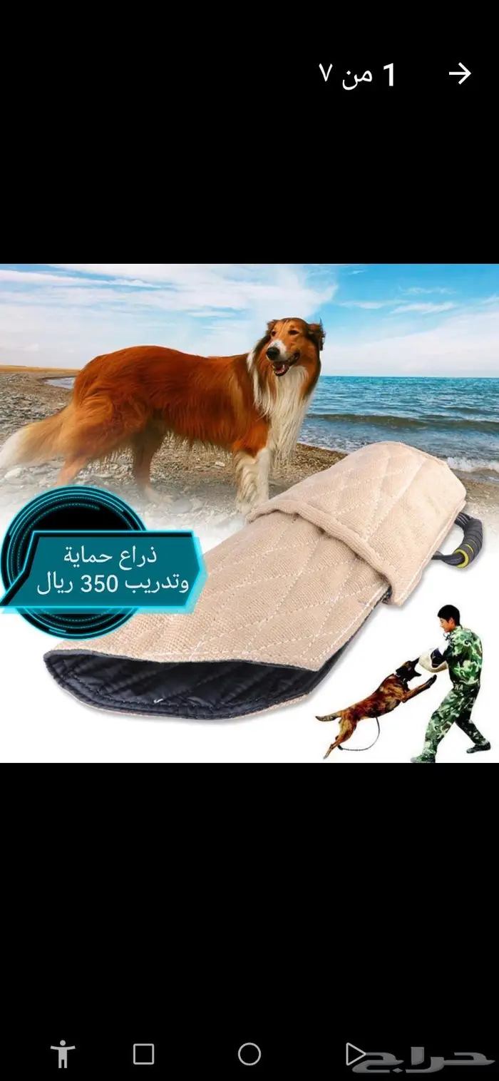 ذراع حماية سليف كلاب تدريب عض 13