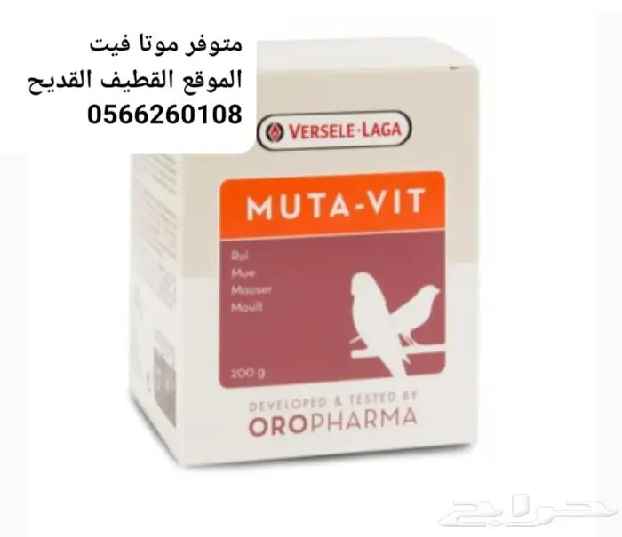 متوفر مكملات وفيتامينات شركة كويكو وفرسلاقا 4