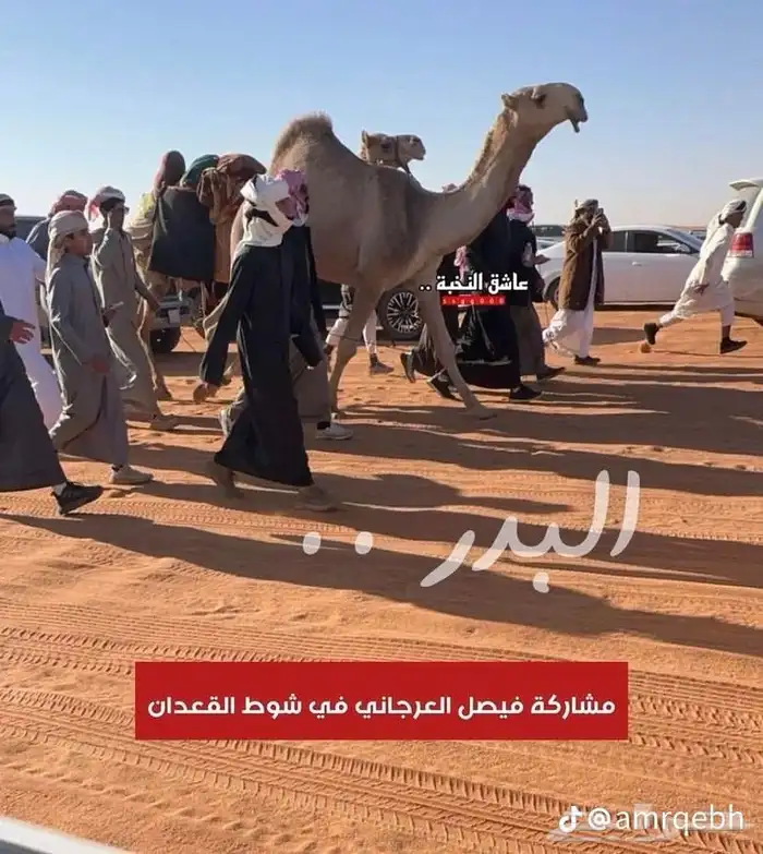 نقل شرايح البل 2