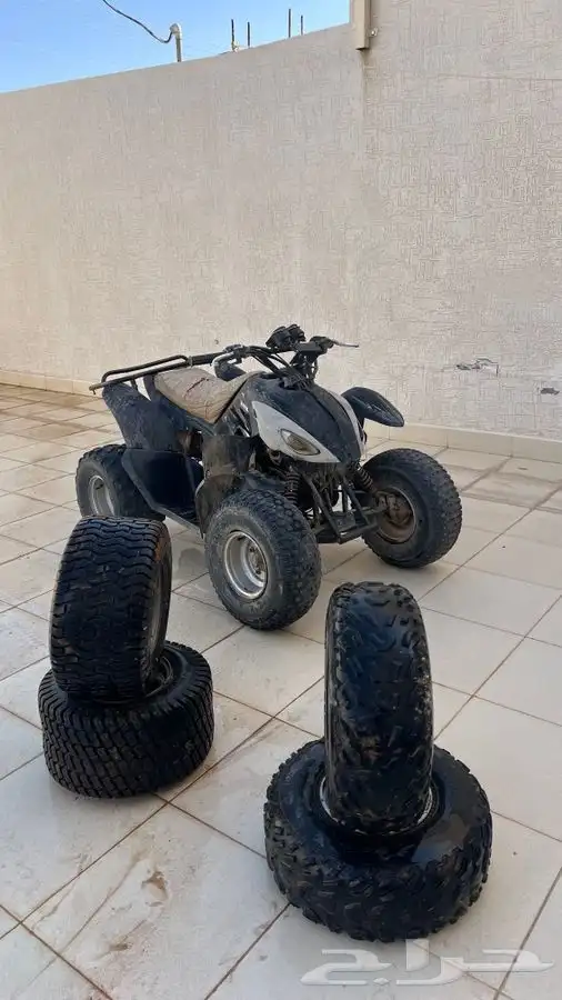 دباب الوسيط كبير 5