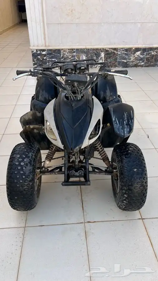 دباب الوسيط كبير 0