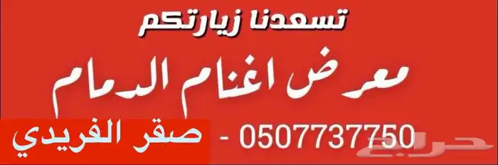 صقر للأغنام بالدمام 2