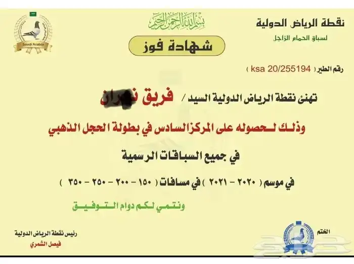 زاجل سباق ابناء جوز الذهبي ( تم البيع ) 3