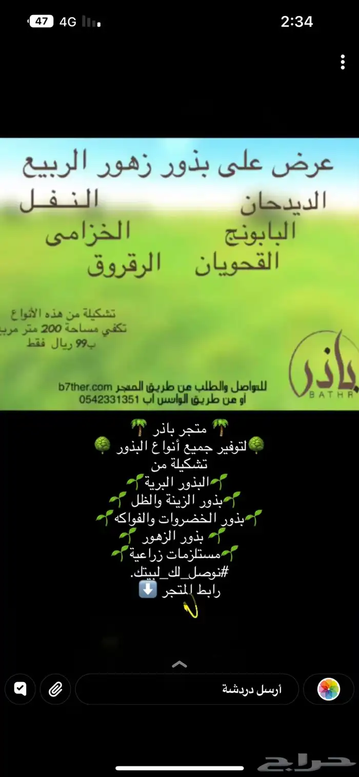 متجر باذر لجميع انواع البذور   ذرة جيزانية سعر مناسب 3