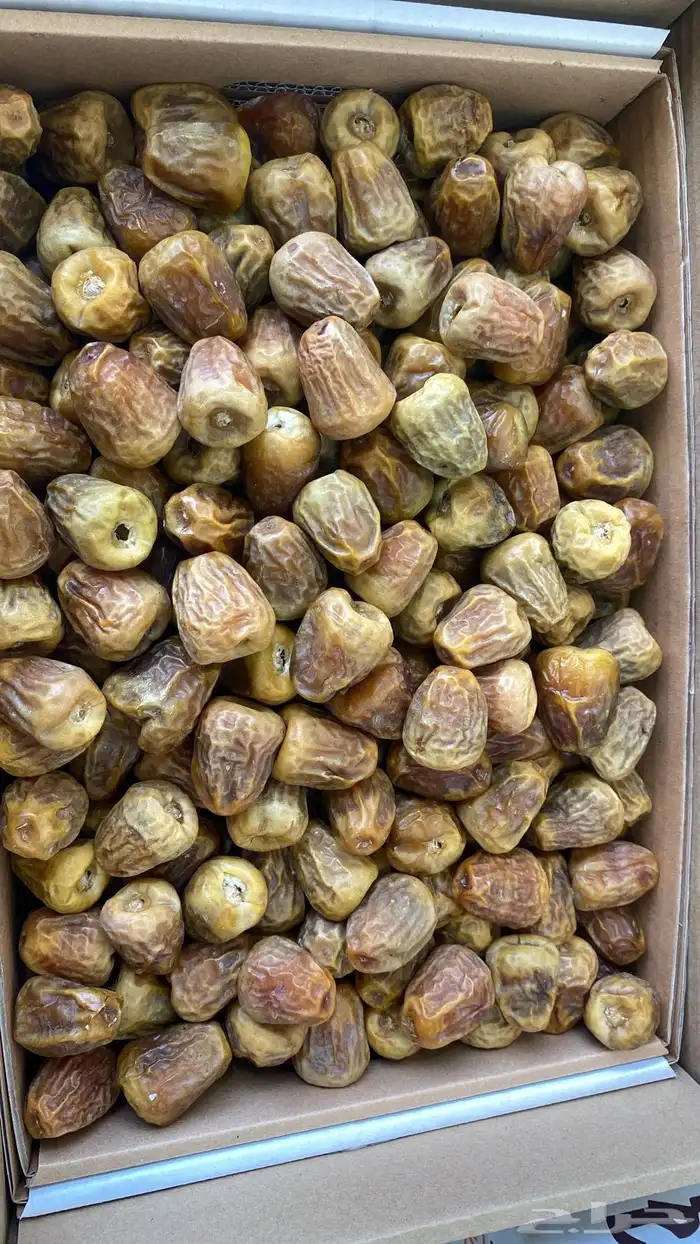 افطار صايم خلاص القصيم طيب 10