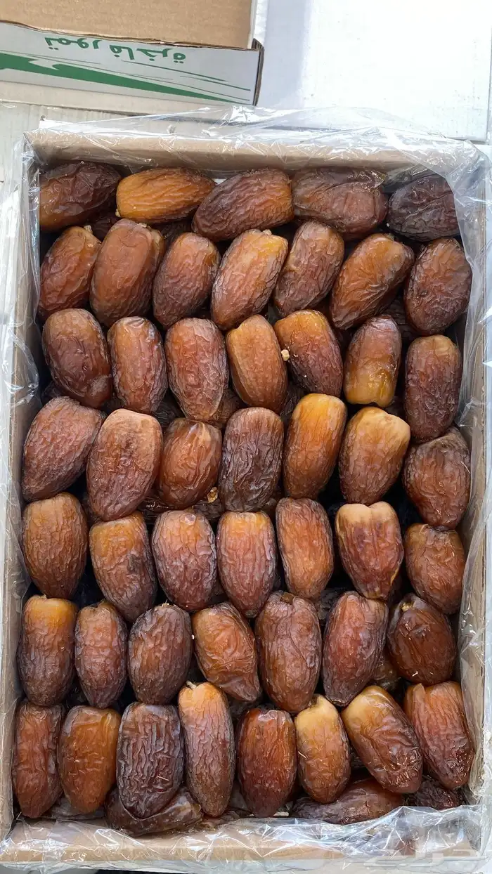 افطار صايم خلاص القصيم طيب 11