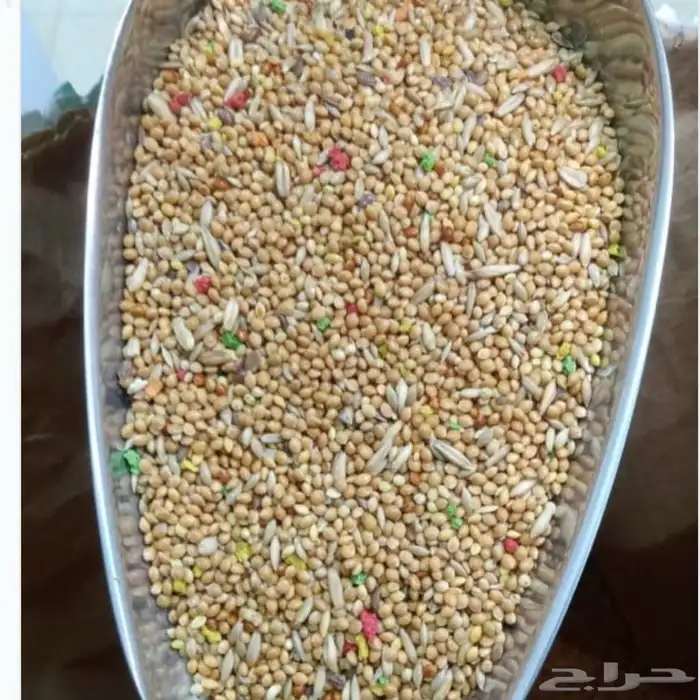 خلطة البادجي بالفيتامين اعلاف طيور 0