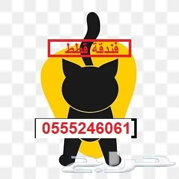 فندقة قطط وطيور بسفركم - شاهد التقييمات 2
