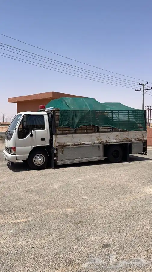 دينا لنقل العفش الدوادمي البجاديه نفي . 0