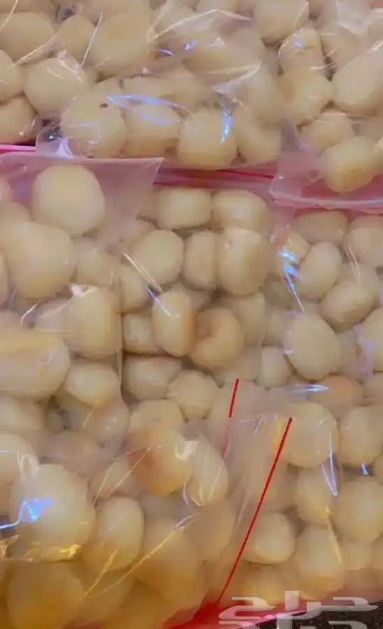 مفرزنات ولف عنب وملفوف 11