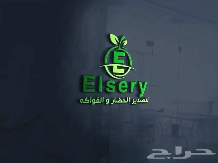 تصميم لوقو احترافي يجزب العملاء المستهدفين 4