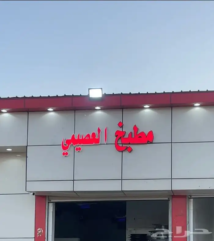 للبيع طليان سواكني جذعان ثنيان عدد 180 راس تفريد جمله 3