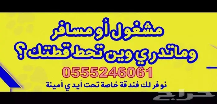 فندقة قطط وطيور بسفركم - شاهد التقييمات 0