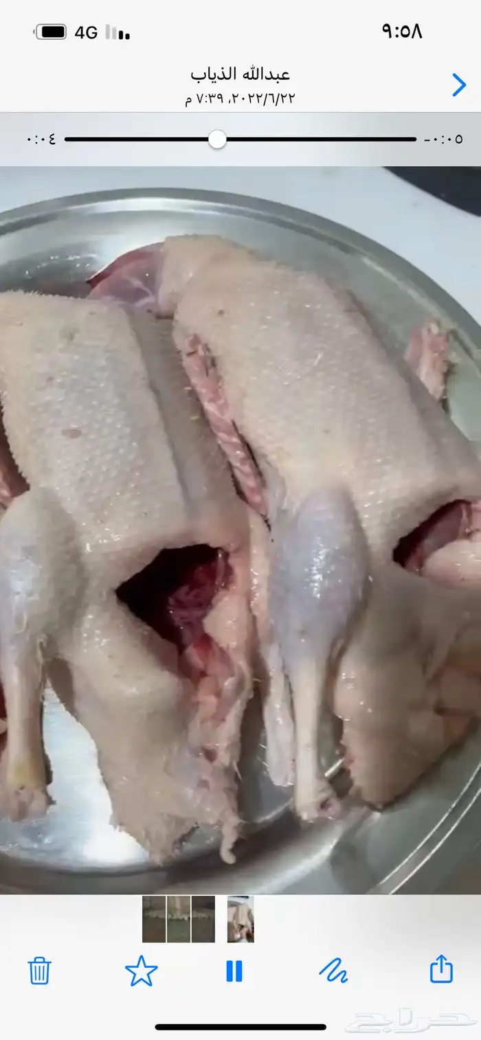 للبيع بط بكيني 1