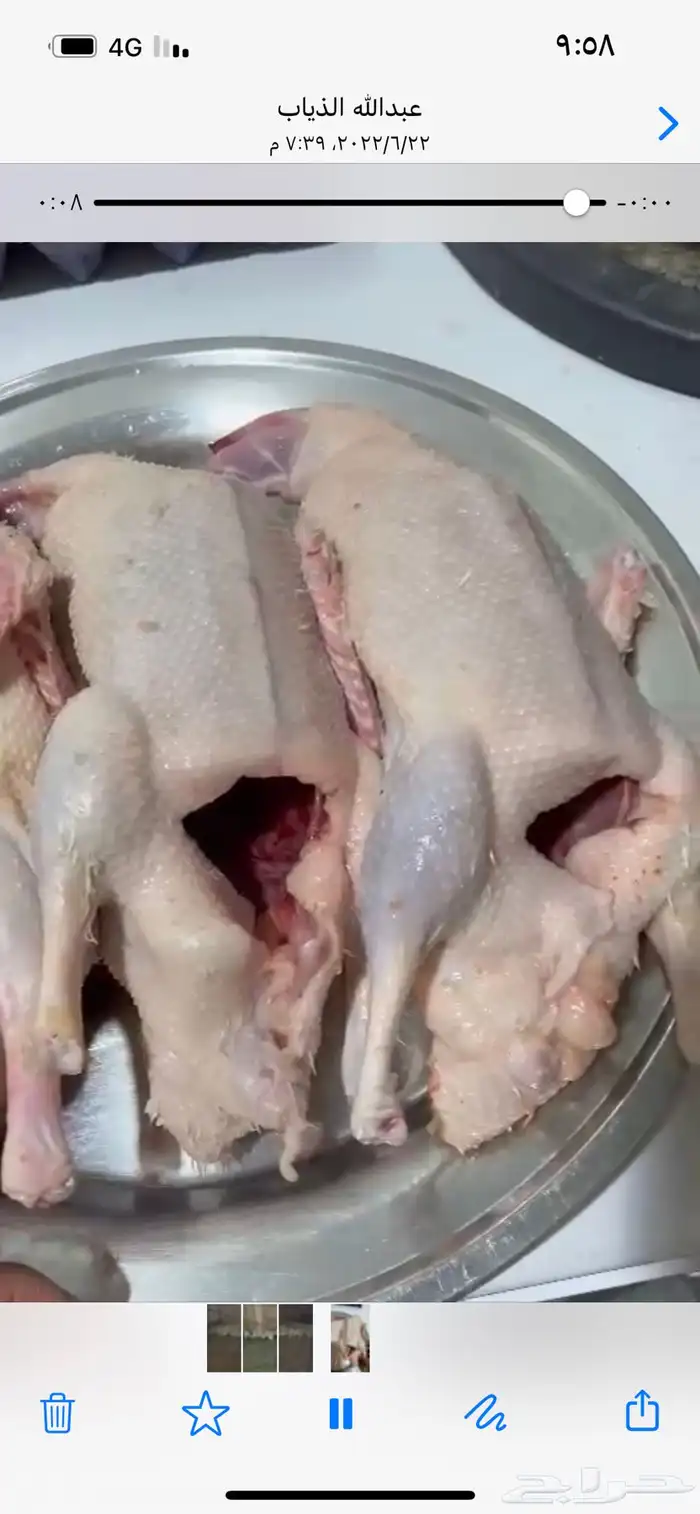 للبيع بط بكيني 3