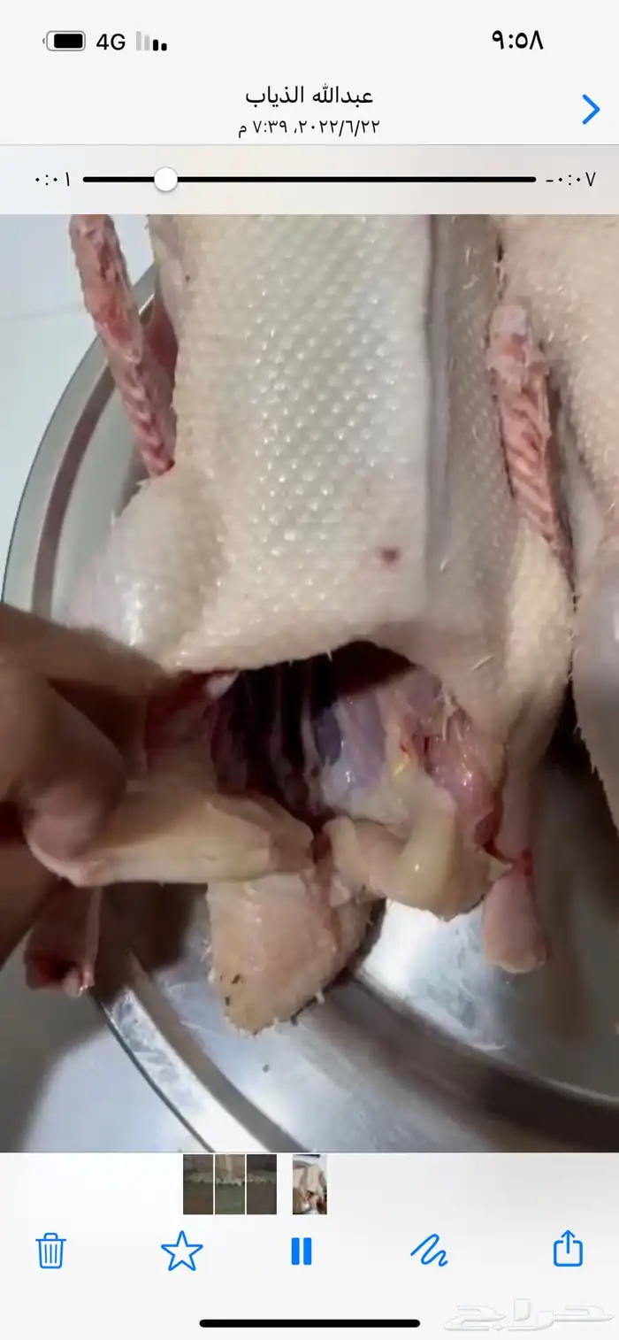 للبيع بط بكيني 0