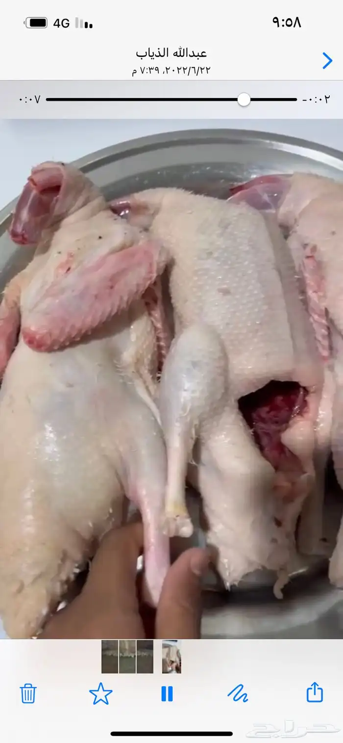 للبيع بط بكيني 2