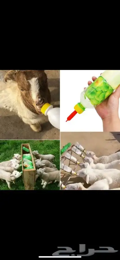 رضاعات بهم وفرنا لكم كميه جديدة 0