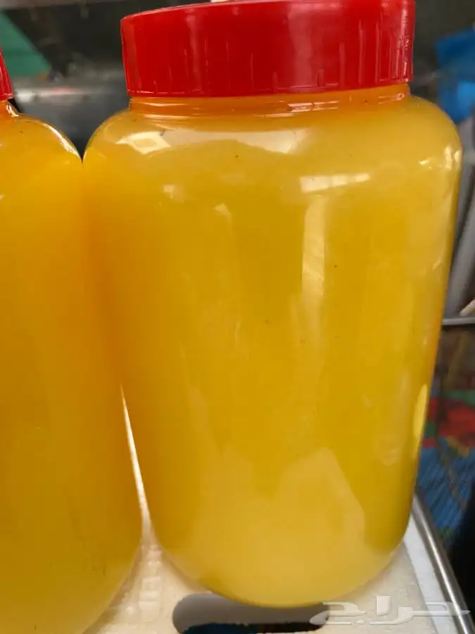 سمن بقر البيع جملة فقط 1