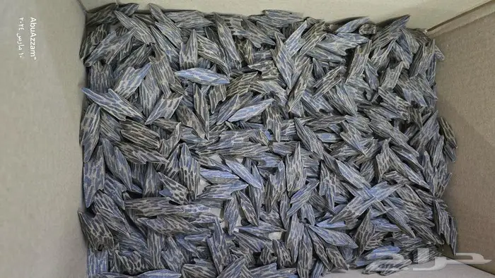 عود تايقر الفتنامي الأصلي 2