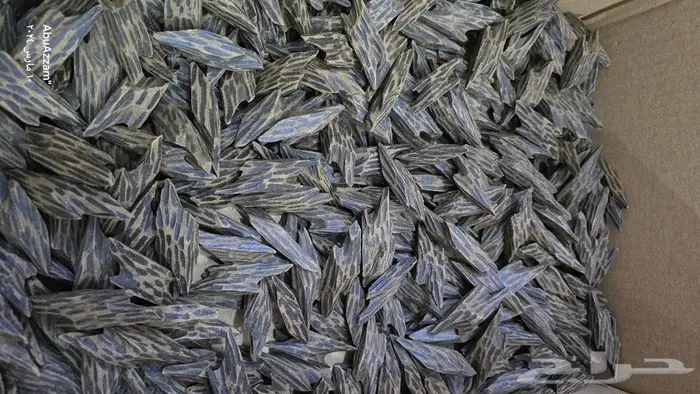 عود تايقر الفتنامي الأصلي 3