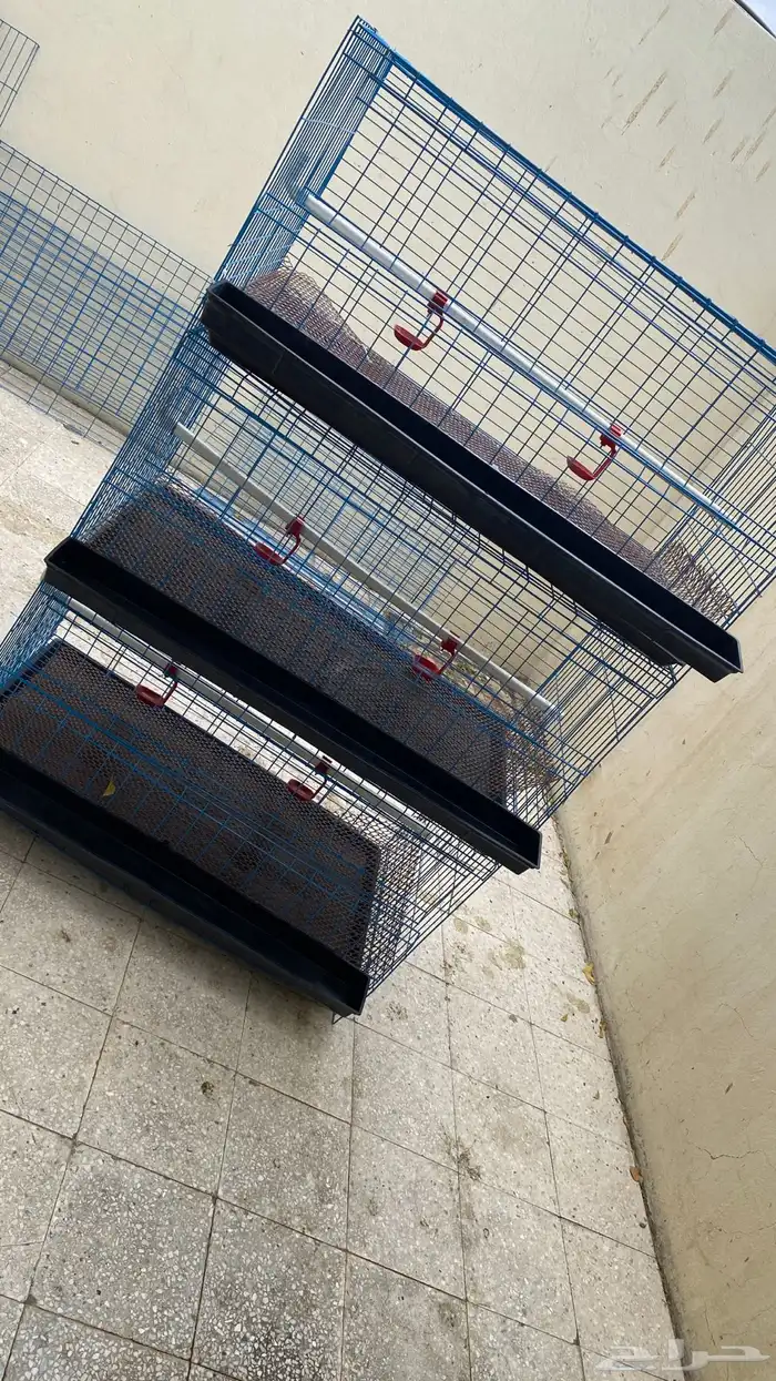 بطاريات صوص 0