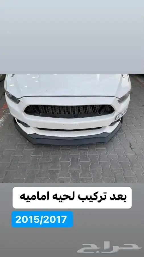 لحية موستنج جميع الاشكال والمديلات 11