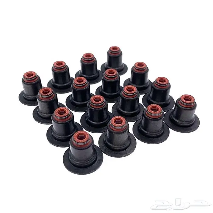 قطع غيار رينو دوكر 1