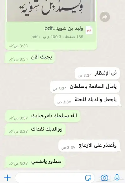 كتب تاريخ قبيله سبيع PDF 3
