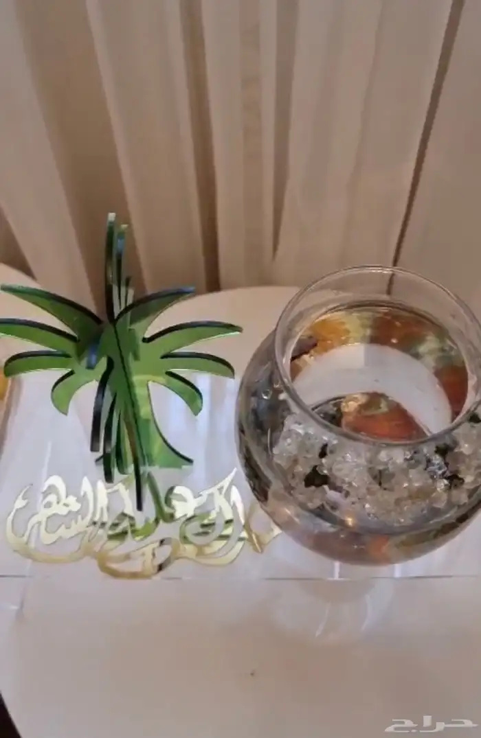 هدايا وزرع وسمك فايتر 18