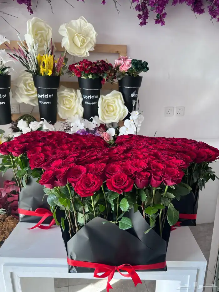 كوش افراح ومداخل وحفلات 9