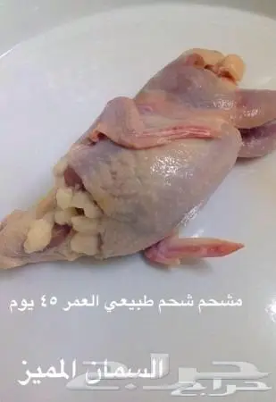 دجاج طازج يذبح امامك 2