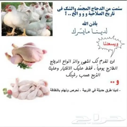 دجاج طازج يذبح امامك 0