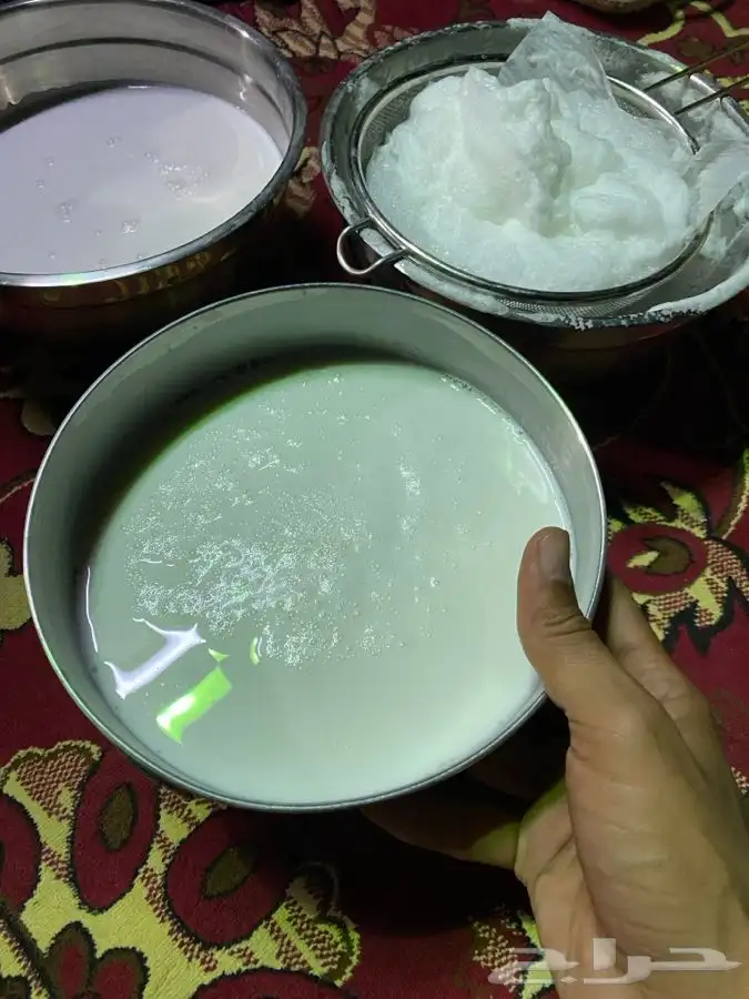 حليب نياق حليب خلفات 1