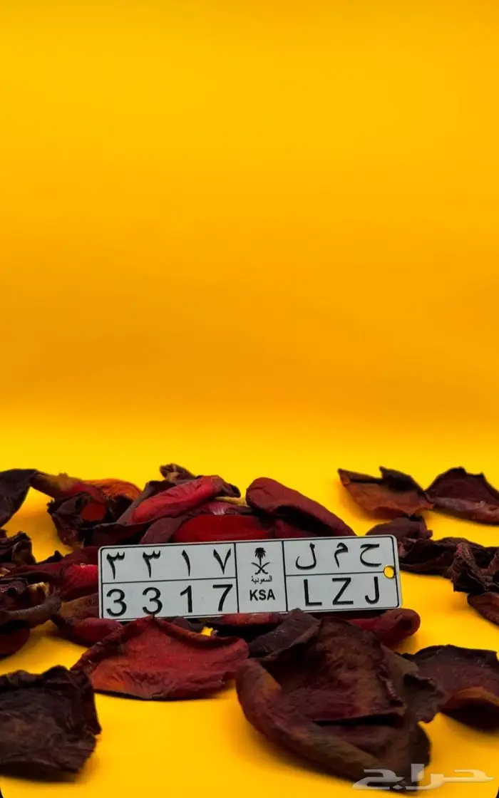 ميداليات لوحة سيارة حفر ليزر 7