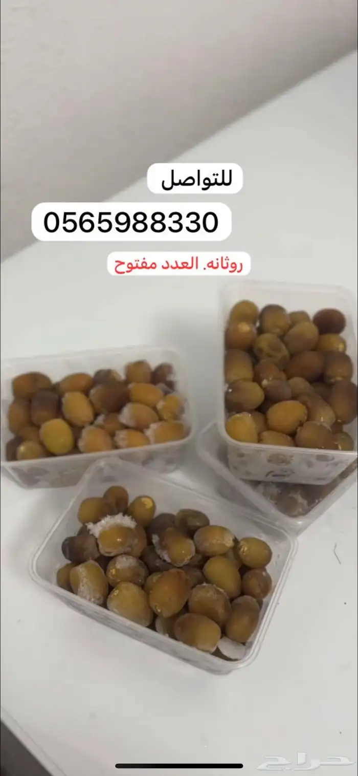 تمر روثانه - مفتل- رطب 1