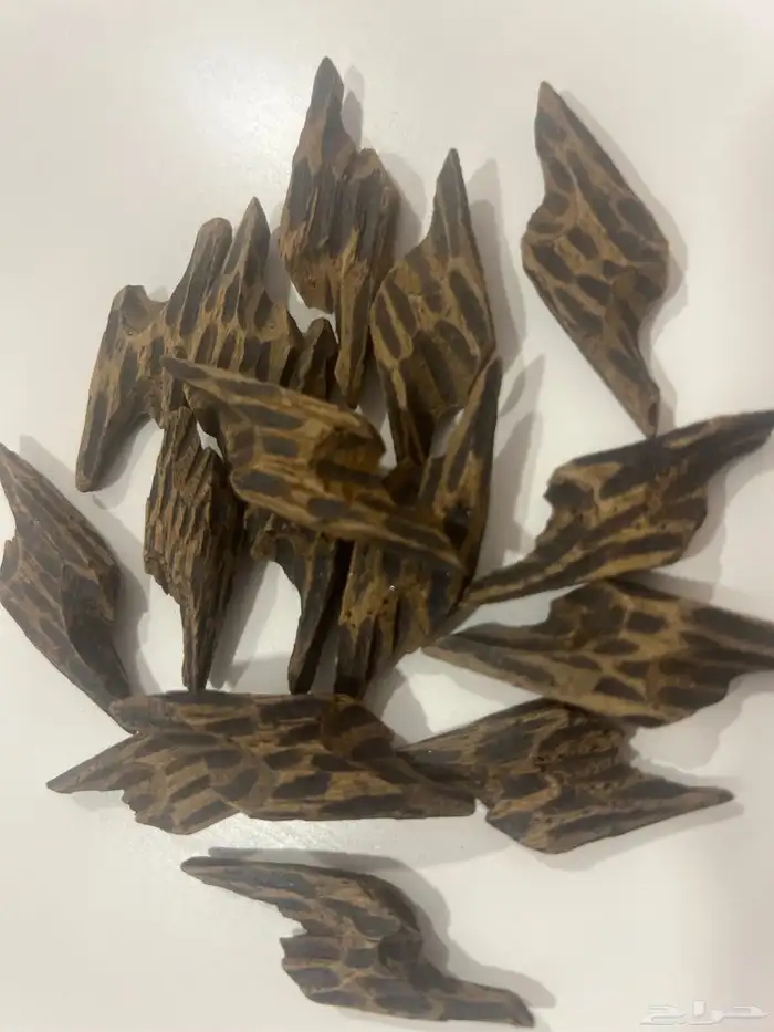 عود تايقر كمبودي اصلي متوفر بالاوقيه وبالكيلو 0