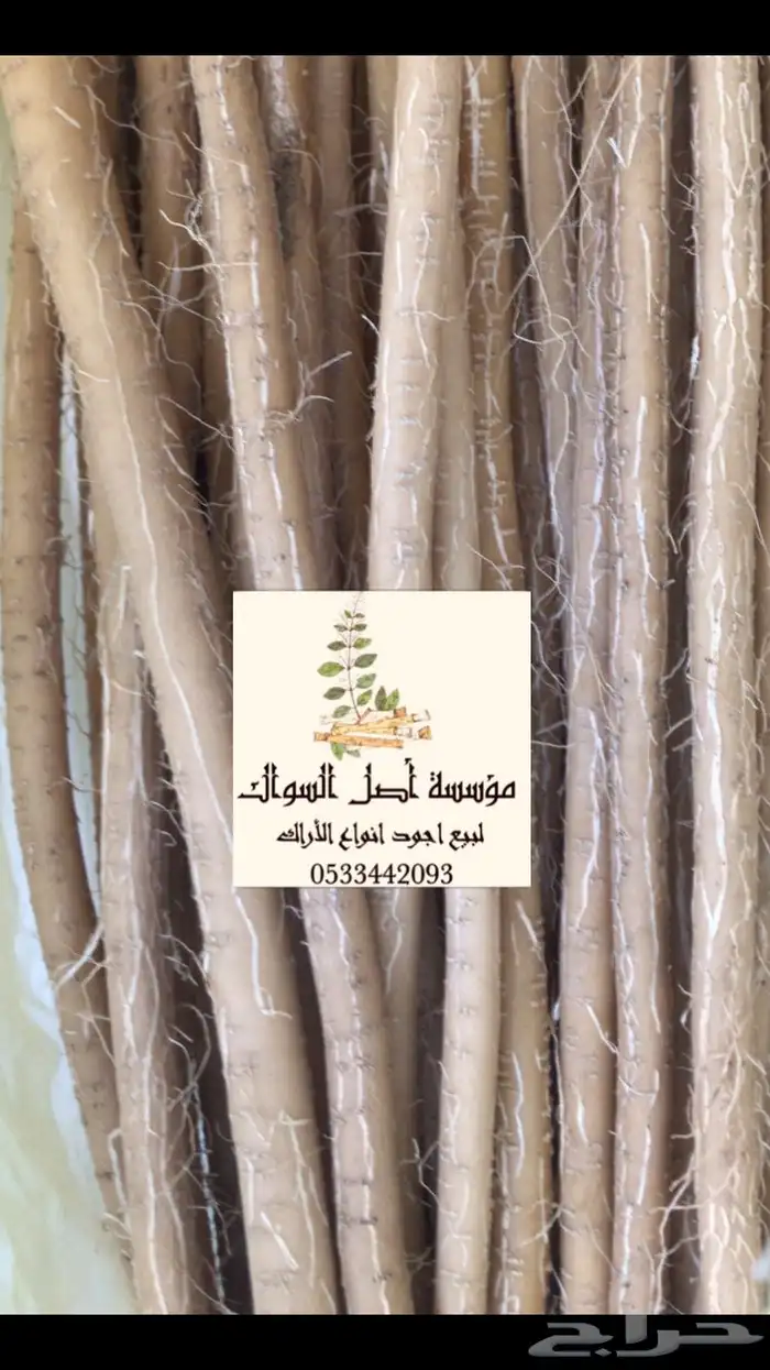 سواك ابو حنش الحار يصلك اينما كنت 12