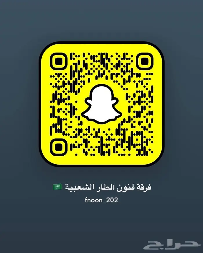 فرقه شعبيه 13